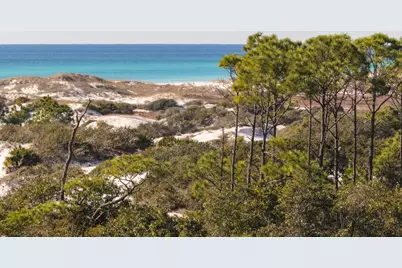 103 Coopersmith Lane, Inlet Beach, FL 32461 - Photo 32
