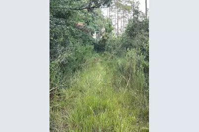 Lots 12&13 Calm Gulf Drive, Santa Rosa Beach, FL 32459 - Photo 8