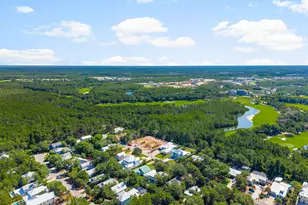 515 Seacrest Dr, Inlet Beach, FL 32461 - Photo 60
