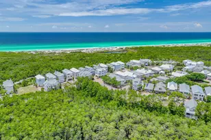 47 Cypress Walk, Santa Rosa Beach, FL 32459 - Photo 44