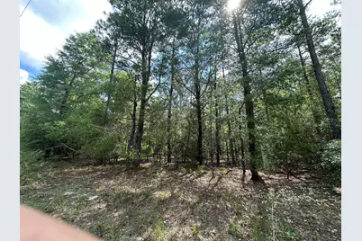 20 Ac+/- Shot Gun Trail, Crestview, FL 32539 - Photo 12