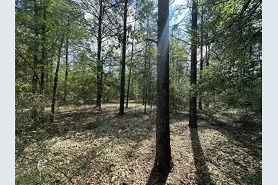 20 Ac+/- Shot Gun Trail, Crestview, FL 32539 - Photo 2