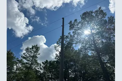 20 Ac+/- Shot Gun Trail, Crestview, FL 32539 - Photo 6