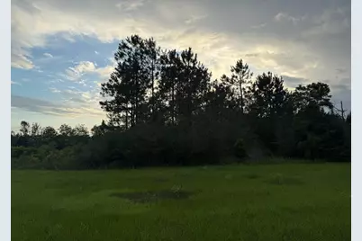 2.49 Acres W Co Hwy 147, Paxton, FL 32538 - Photo 2