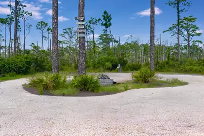 4330 State Road 30A Road, Port Saint Joe, FL 32456 - Photo 6