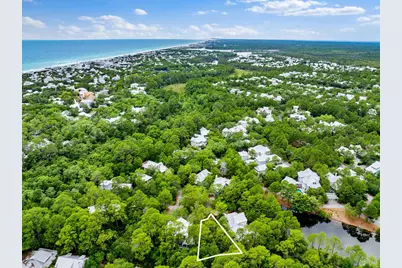 42 Bosk Lane, Santa Rosa Beach, FL 32459 - Photo 10