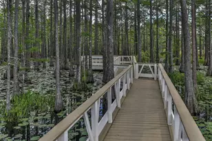 22 Cypress Rdg, Santa Rosa Beach, FL 32459 - Photo 48