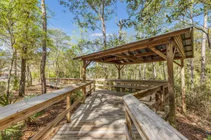 221 Sweet Tea Ln, Freeport, FL 32439 - Photo 60