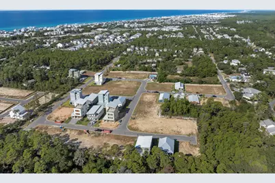 32 Asher Street #Lot 36, Inlet Beach, FL 32461 - Photo 48