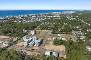 32 Asher St, Inlet Beach, FL 32461 - Photo 48