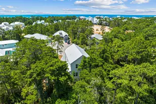 213 Spotted Dolphin Rd, Santa Rosa Beach, FL 32459 - Photo 62