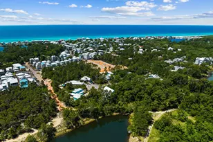 213 Spotted Dolphin Rd, Santa Rosa Beach, FL 32459 - Photo 56