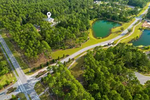 112 E Captain Fritz Way E, Freeport, FL 32439 - Photo 10