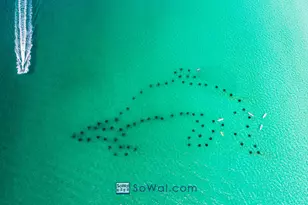 30 Walton Way, Miramar Beach, FL 32550 - Photo 70