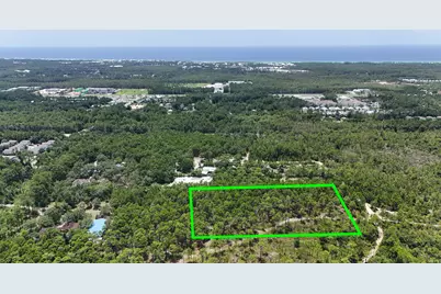 461 Don Bishop Road, Santa Rosa Beach, FL 32459 - Photo 8