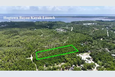 461 Don Bishop Road, Santa Rosa Beach, FL 32459 - Photo 4