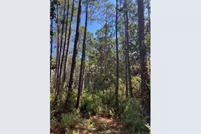 Tbd W Hewett Road W, Santa Rosa Beach, FL 32459 - Photo 16