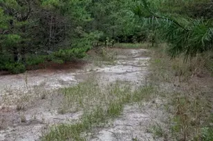 0 Chief Bragg Dr, Freeport, FL 32439 - Photo 1