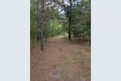 Tbd Chief Bragg Drive, Freeport, FL 32439 - Photo 2