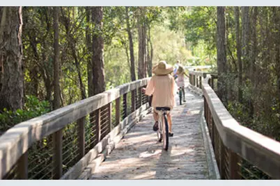 20 Mark Twain Lane #UNIT 402, Inlet Beach, FL 32461 - Photo 40