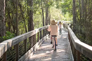 20 Mark Twain Ln, Inlet Beach, FL 32461 - Photo 40