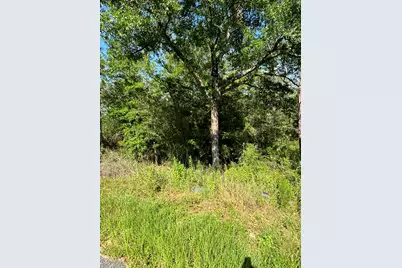 0 E White Rose Street, Defuniak Springs, FL 32433 - Photo 4