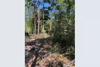 45-48 W Buckeye Street W, Mossy Head, FL 32434 - Photo 2