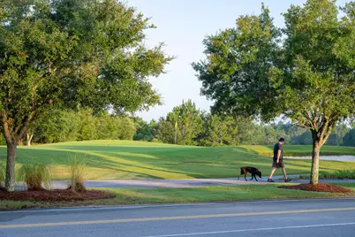 358 W Firethorn Circle W #Lot 29, Watersound, FL 32461 - Photo 10