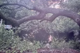 696 Phillips Dr, Freeport, FL 32439 - Photo 48