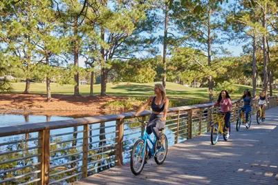9800 Grand Sandestin Boulevard #5122, Miramar Beach, FL 32550 - Photo 28