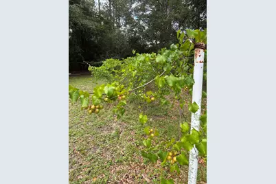 175 Bob McCaskill Drive, Defuniak Springs, FL 32433 - Photo 22