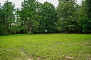 817 N Planters Dr N, Laurel Hill, FL 32567 - Photo 10