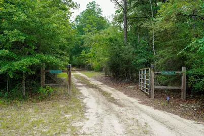 817 N Planters Drive N, Laurel Hill, FL 32567 - Photo 12