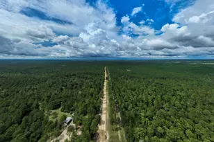 817 N Planters Dr N, Laurel Hill, FL 32567 - Photo 44