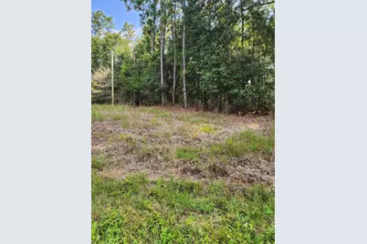 Xxxx Fl-4, Jay, FL 32565 - Photo 18