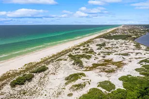 214 Spartina Cir, Santa Rosa Beach, FL 32459 - Photo 46