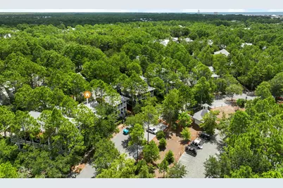 214 Spartina Circle, Santa Rosa Beach, FL 32459 - Photo 38