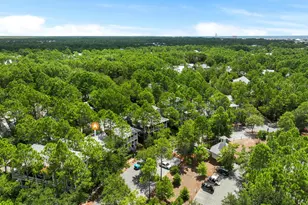 214 Spartina Cir, Santa Rosa Beach, FL 32459 - Photo 38