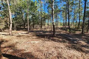 1 2 Acres On Kelly St, Defuniak Springs, FL 32433 - Photo 1