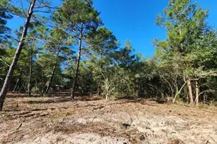 1 2 Acres On Kelly St, Defuniak Springs, FL 32433 - Photo 4