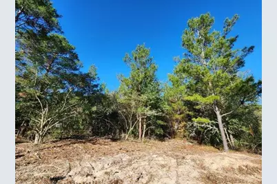 1.2 Acres On Kelly Street, Defuniak Springs, FL 32433 - Photo 8