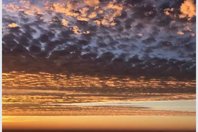 1272 Scenic Gulf Drive #UNIT 804, Miramar Beach, FL 32550 - Photo 78