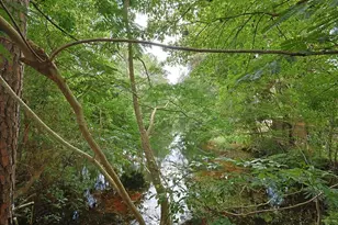 392 E Pine Street E, Mary Esther, FL 32569 - Photo 38