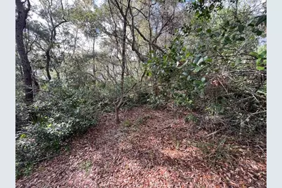 Lot 5 W Okeechobee W, Santa Rosa Beach, FL 32459 - Photo 16