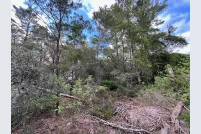 Lot 5 W Okeechobee W, Santa Rosa Beach, FL 32459 - Photo 8