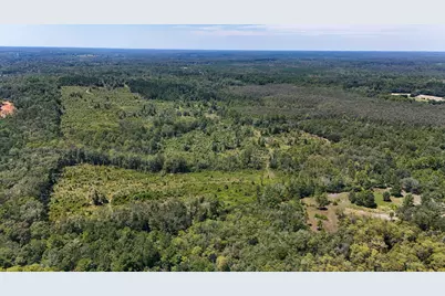 00 James Luther Rd, Ponce de Leon, FL 32455 - Photo 8