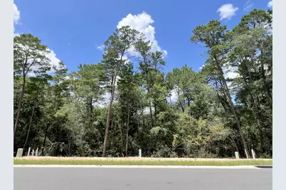 249 Foxglove Run, Niceville, FL 32578 - Photo 1