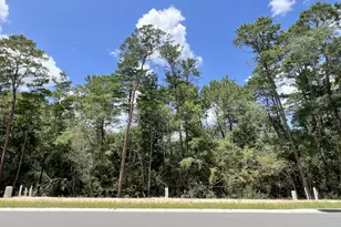 249 Foxglove Run, Niceville, FL 32578 - Photo 1