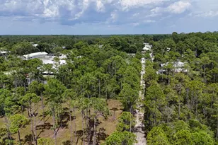 Lot 6 Foxmire Farm Rd, Santa Rosa Beach, FL 32459 - Photo 8