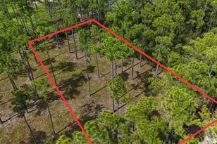 Lot 4 Foxmire Farm Rd, Santa Rosa Beach, FL 32459 - Photo 1